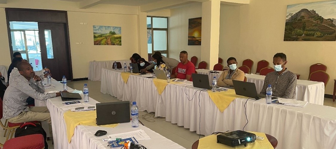 Ethiopian TPD and MoR teams in TaxDev workshop
