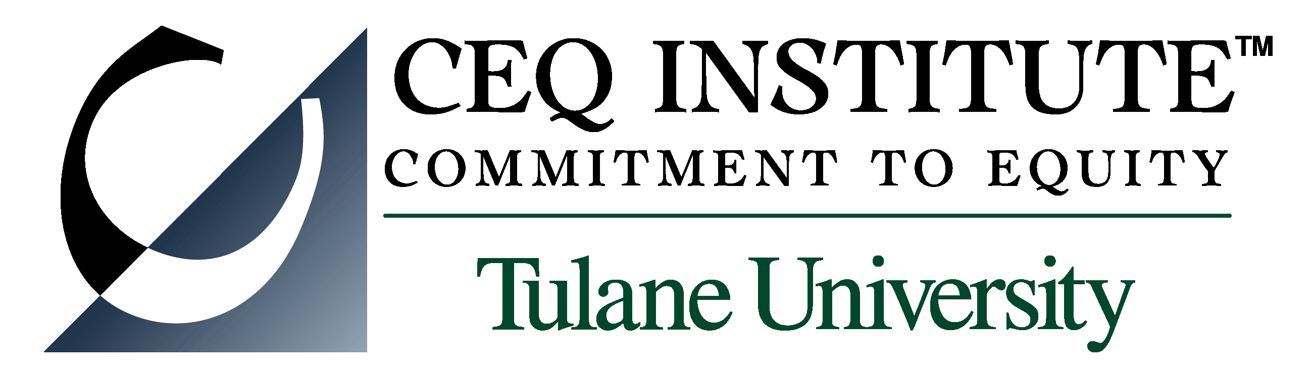 Commitment to Equity Institute