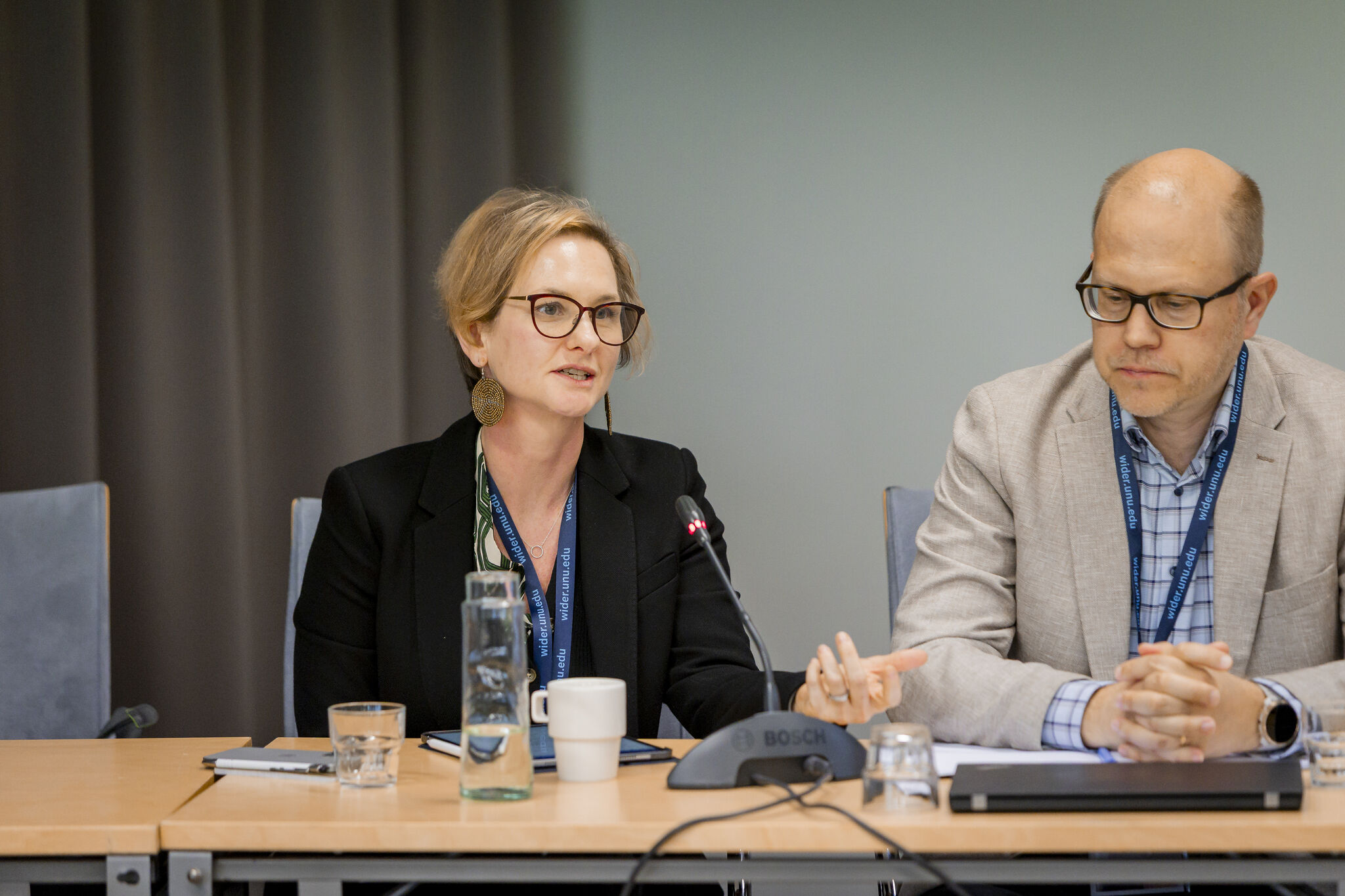 Laura Abramovsky UNU-WIDER flagship conference